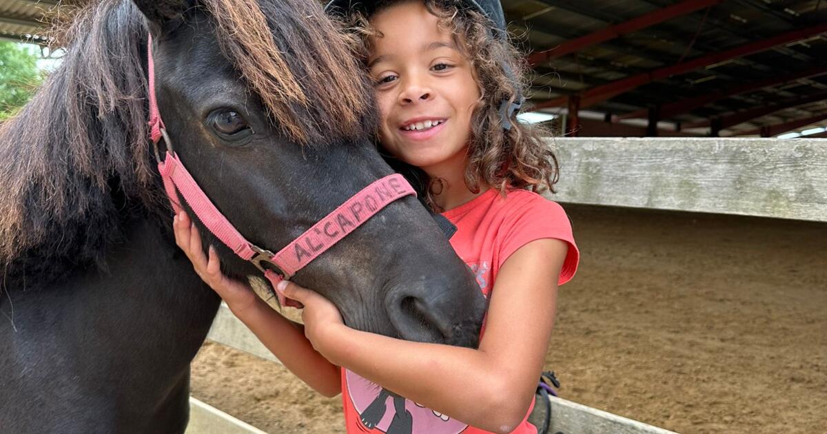 Stage d'équitation à l'océan