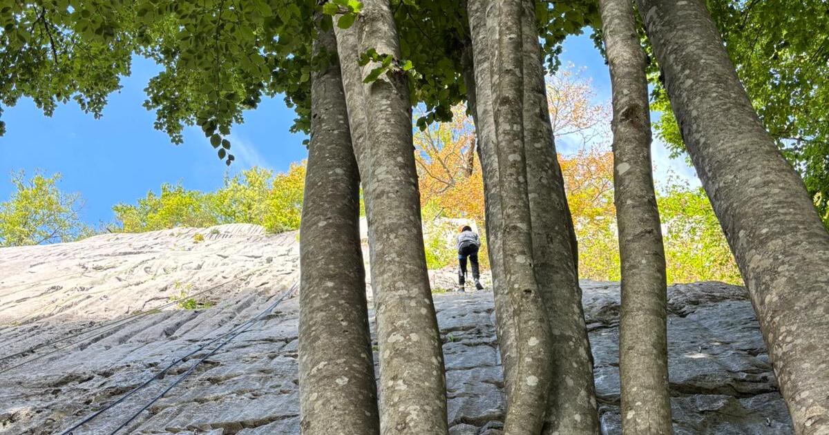 Défi vertical : les apprentis grimpeurs