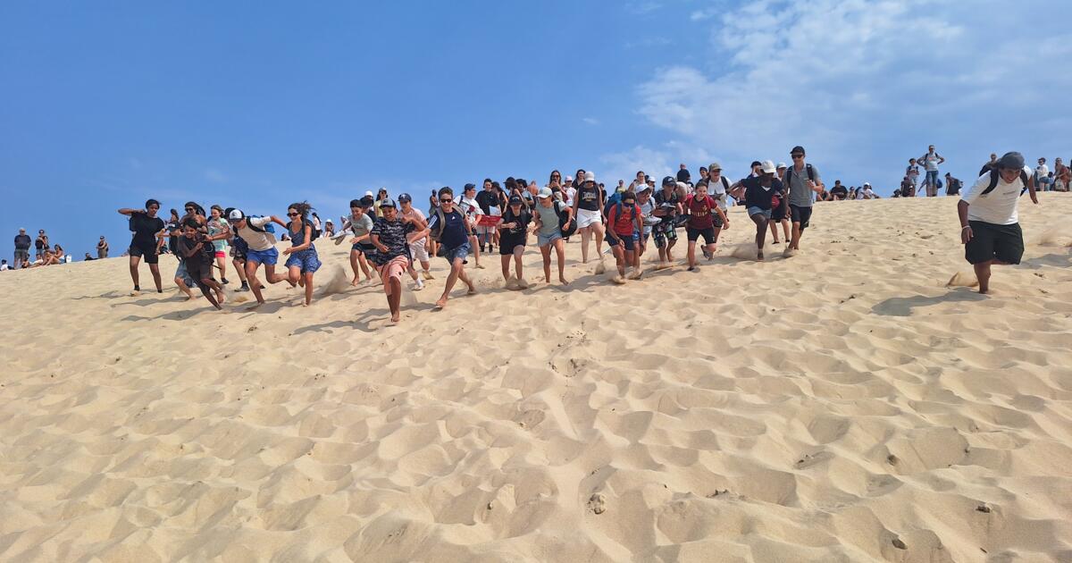 Evasion sur le Bassin d'Arcachon