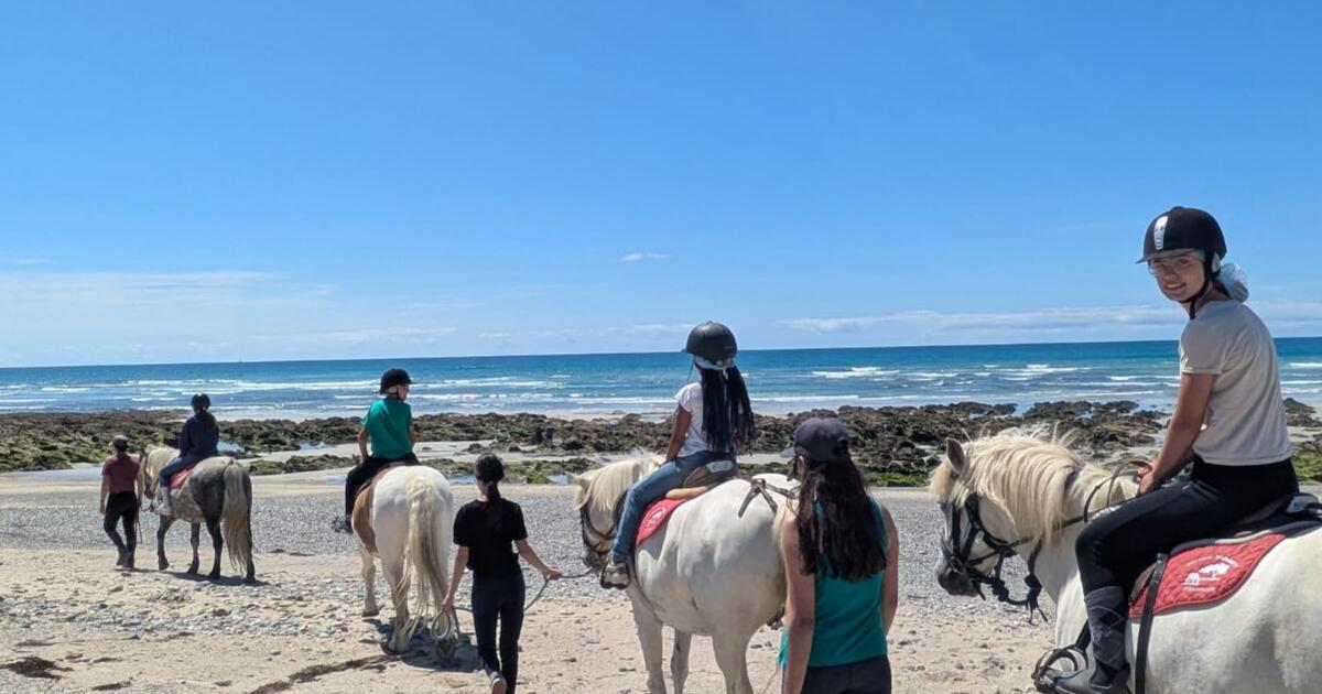 Breizh Equit Kids 8-11 ans