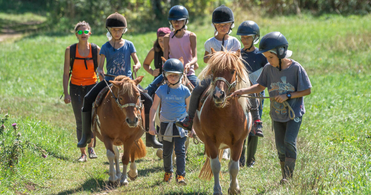 Vertaco' équitation