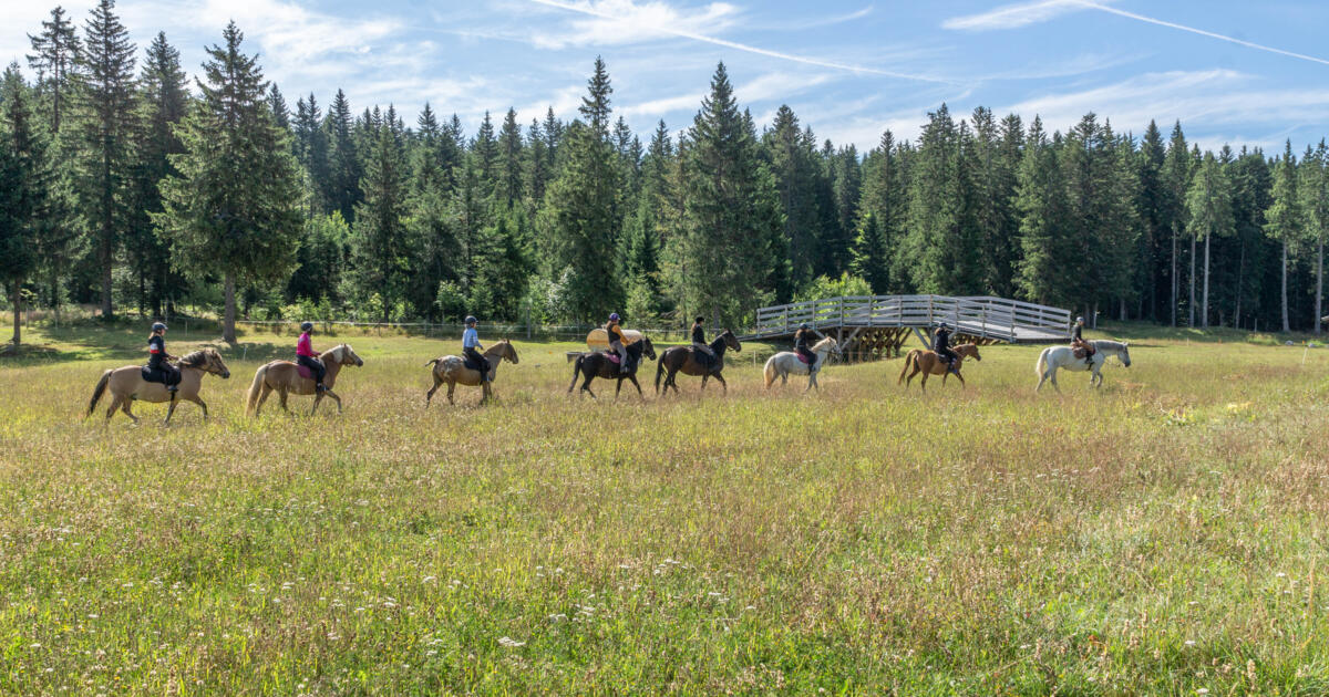 Vertaco équitation avec bivouac